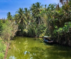 Private Explore The Ham Luon River In Ben Tre 1 Day