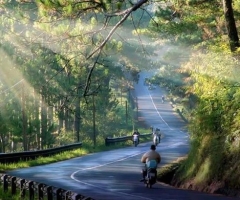 CHƯƠNG TRÌNH THAM QUAN ĐÀ LẠT 4 NGÀY 3 ĐÊM